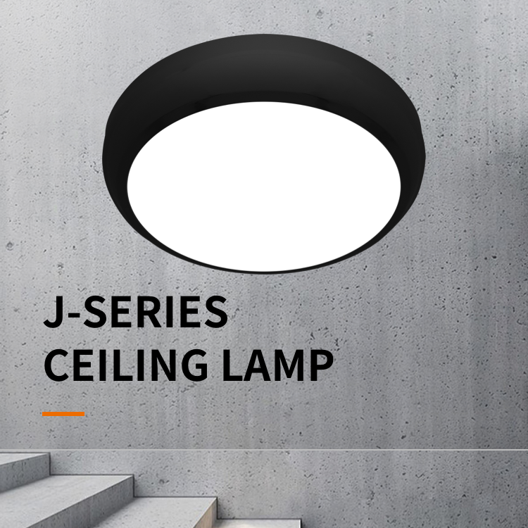 Commercial IP65 IK10 Emergency Sensor Bulkhead Smart LED Ceiling Oyster Light