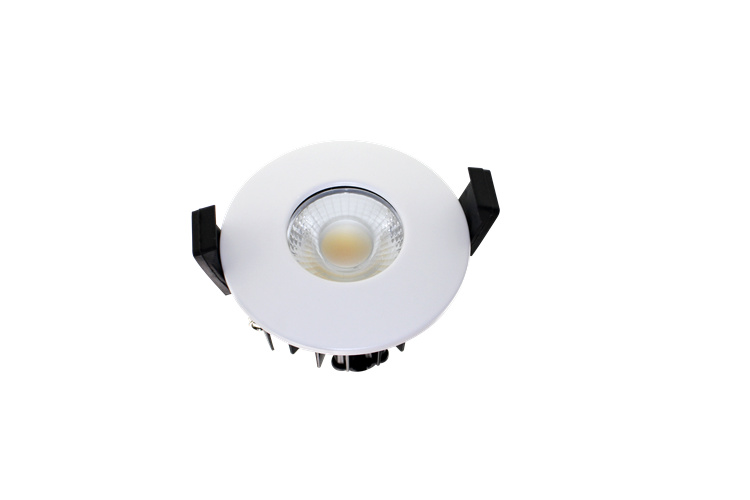 rayvenlight led fire rated downlight